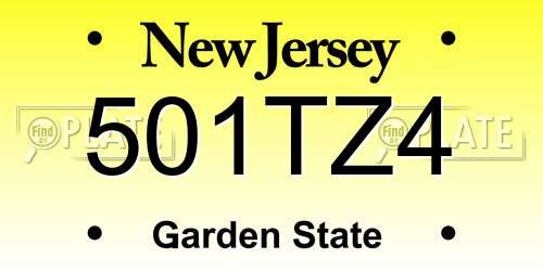501TZ4 New Jersey License Plate