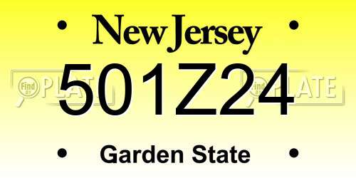 501Z24 New Jersey License Plate