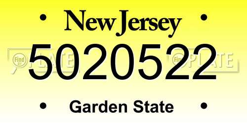 5020522 New Jersey License Plate