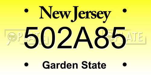 502A85 New Jersey License Plate