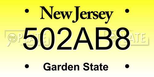 502AB8 New Jersey License Plate