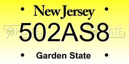 502AS8 New Jersey License Plate
