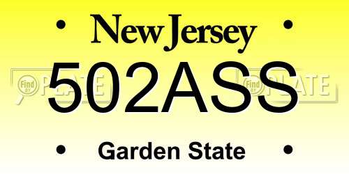 502ASS New Jersey License Plate