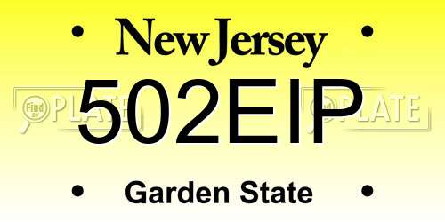 502EIP New Jersey License Plate