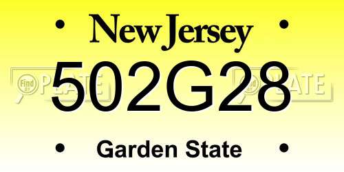 502G28 New Jersey License Plate
