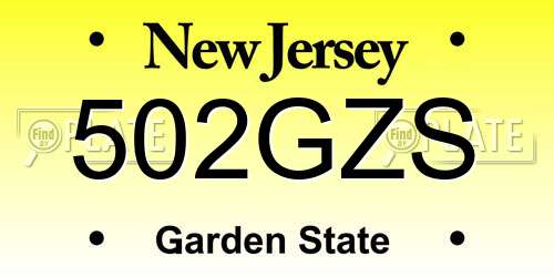 502GZS New Jersey License Plate