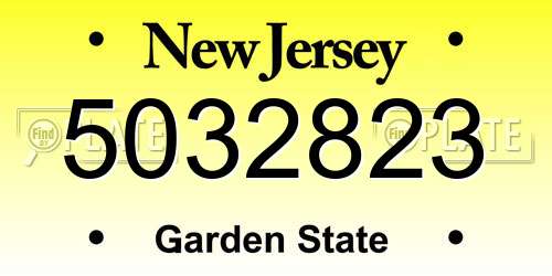 5032823 New Jersey License Plate