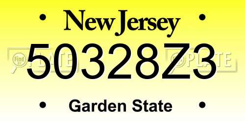 50328Z3 New Jersey License Plate