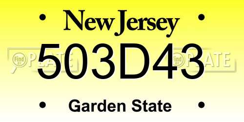 503D43 New Jersey License Plate