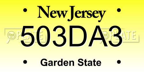 503DA3 New Jersey License Plate