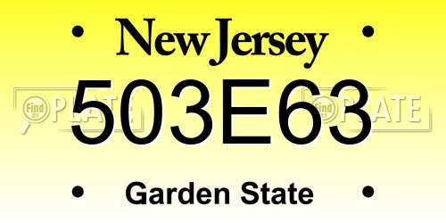 503E63 New Jersey License Plate