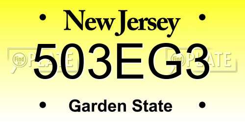 503EG3 New Jersey License Plate