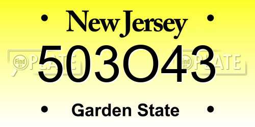 503O43 New Jersey License Plate