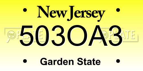 503OA3 New Jersey License Plate