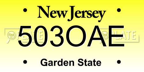 503OAE New Jersey License Plate