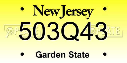 503Q43 New Jersey License Plate