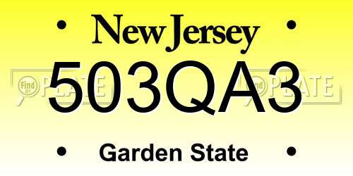 503QA3 New Jersey License Plate