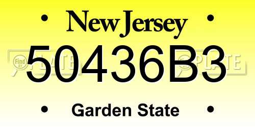 50436B3 New Jersey License Plate