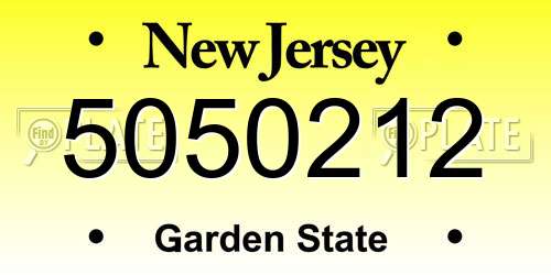 5050212 New Jersey License Plate