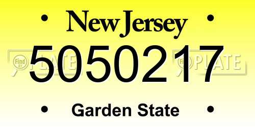 5050217 New Jersey License Plate