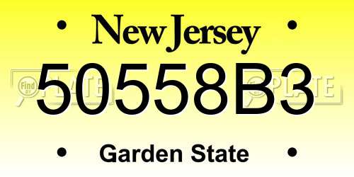 50558B3 New Jersey License Plate