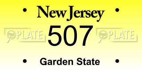 507 New Jersey License Plate