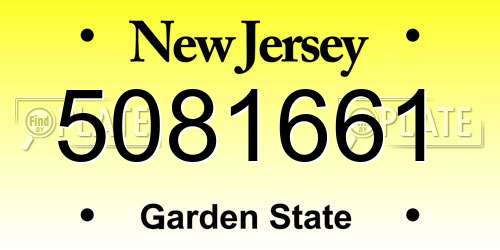 5081661 New Jersey License Plate