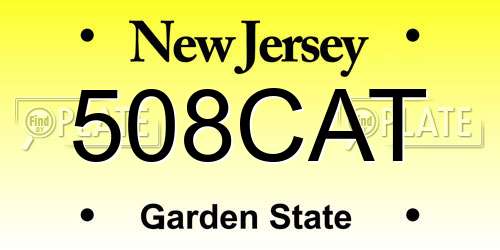 508CAT New Jersey License Plate