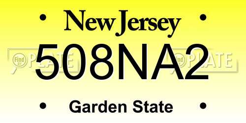 508NA2 New Jersey License Plate