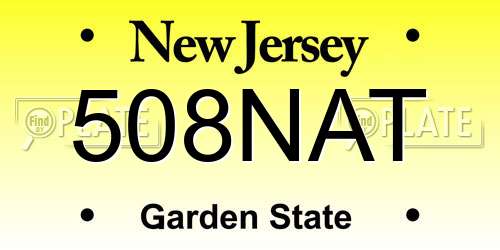 508NAT New Jersey License Plate