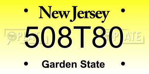 508T80 New Jersey License Plate