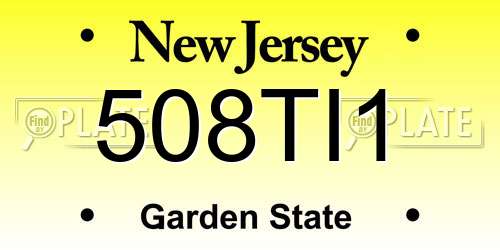 508TI1 New Jersey License Plate
