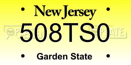 508TS0 New Jersey License Plate
