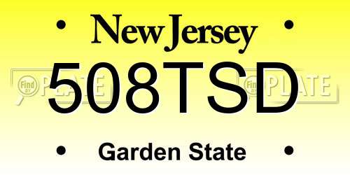 508TSD New Jersey License Plate