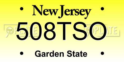 508TSO New Jersey License Plate