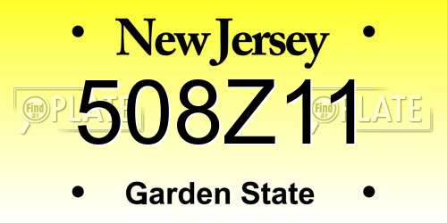 508Z11 New Jersey License Plate