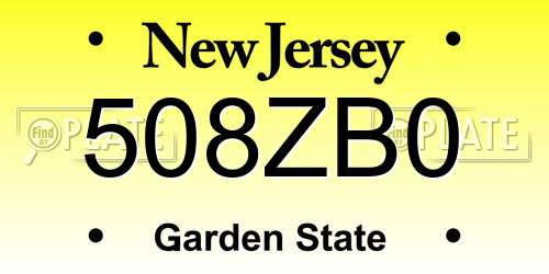 508ZB0 New Jersey License Plate