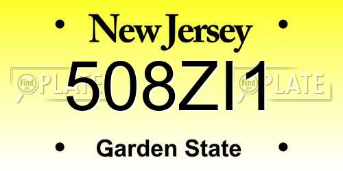 508ZI1 New Jersey License Plate