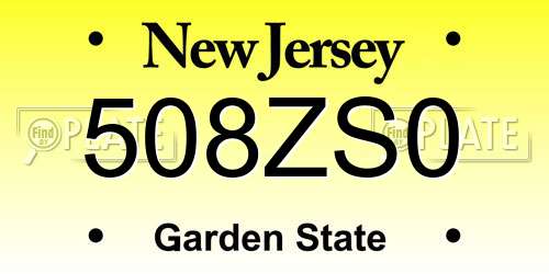 508ZS0 New Jersey License Plate