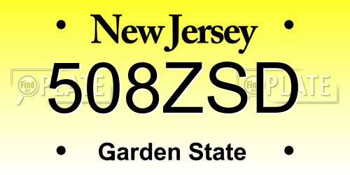 508ZSD New Jersey License Plate