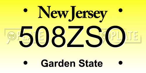 508ZSO New Jersey License Plate