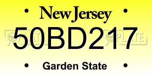 50BD217 New Jersey License Plate