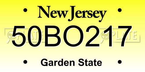 50BO217 New Jersey License Plate