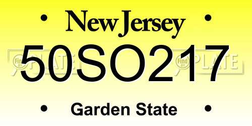 50SO217 New Jersey License Plate