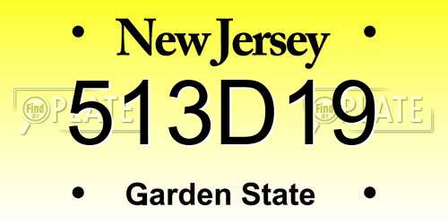 513D19 New Jersey License Plate