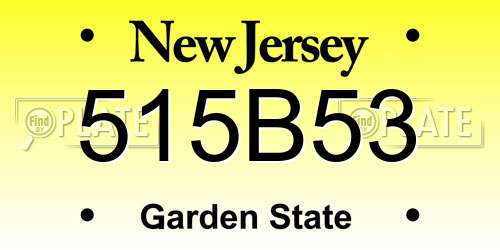 515B53 New Jersey License Plate