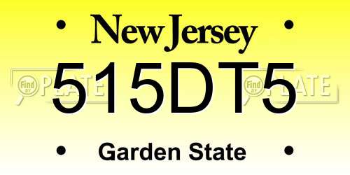 515DT5 New Jersey License Plate