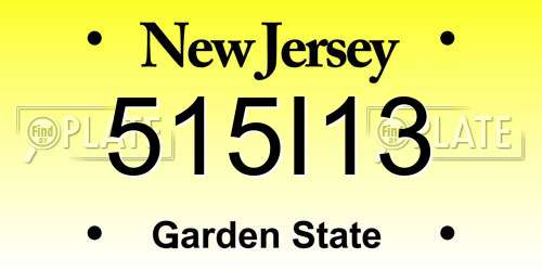 515I13 New Jersey License Plate