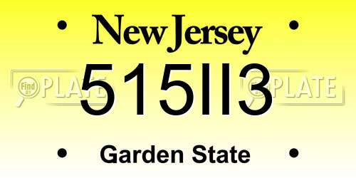 515II3 New Jersey License Plate