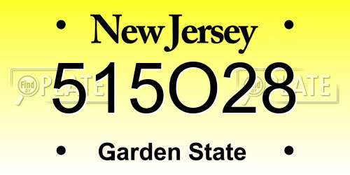 515O28 New Jersey License Plate